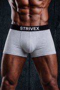 Light grey & black pack of 2 Boxer Briefs